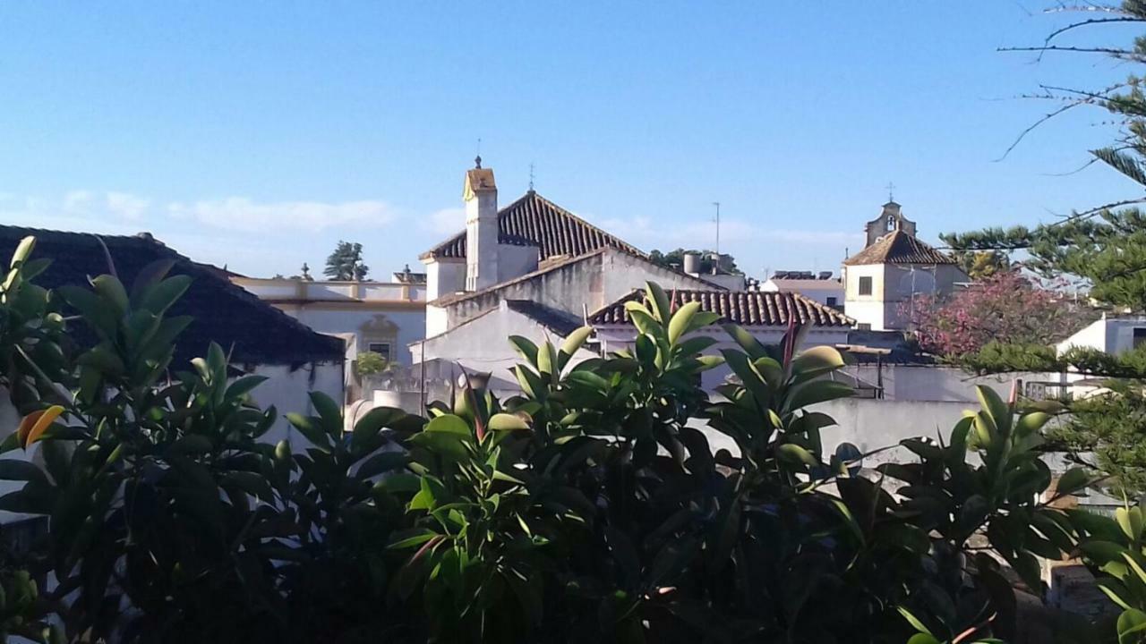 Apartament Piso En Centro Historico Jerez de la Frontera Zewnętrze zdjęcie